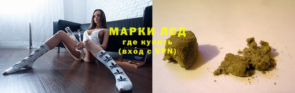 сатива Алексеевка