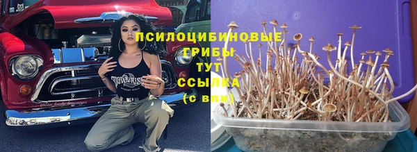 сатива Алексеевка