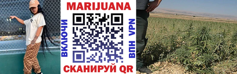 где купить наркоту  Алатырь  Шишки марихуана LSD WEED 